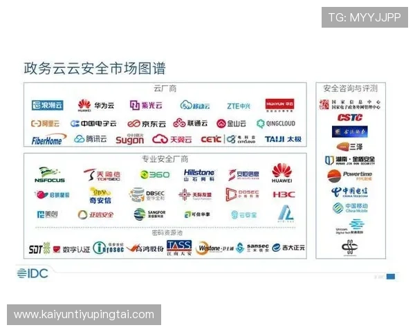 开云在线登录界面安全性分析与提升措施，保障玩家账号信息安全